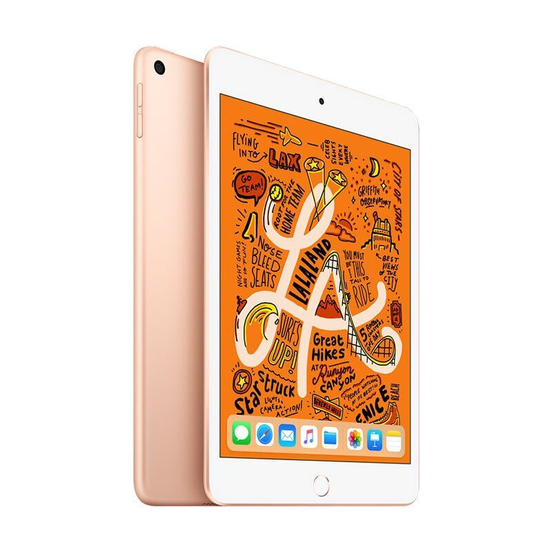 iPad mini5 (2019)7.9英寸 64G 金色