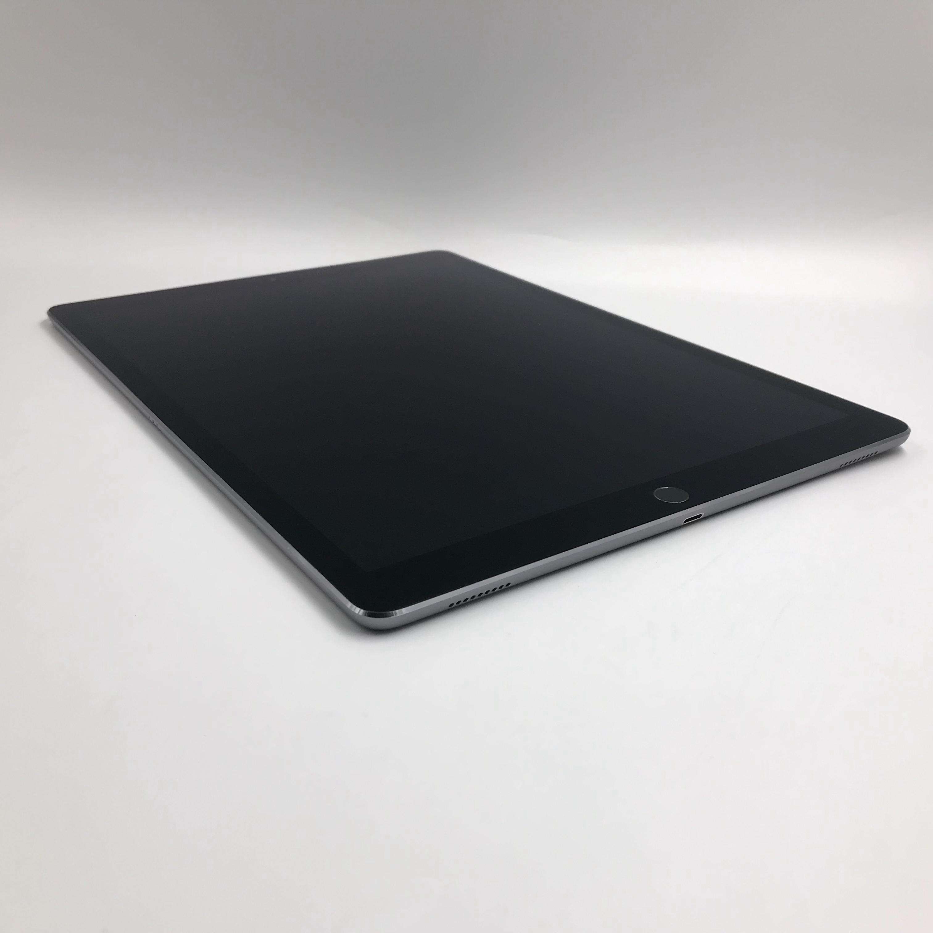 iPad Pro 12.9英寸（2015） Cellular版