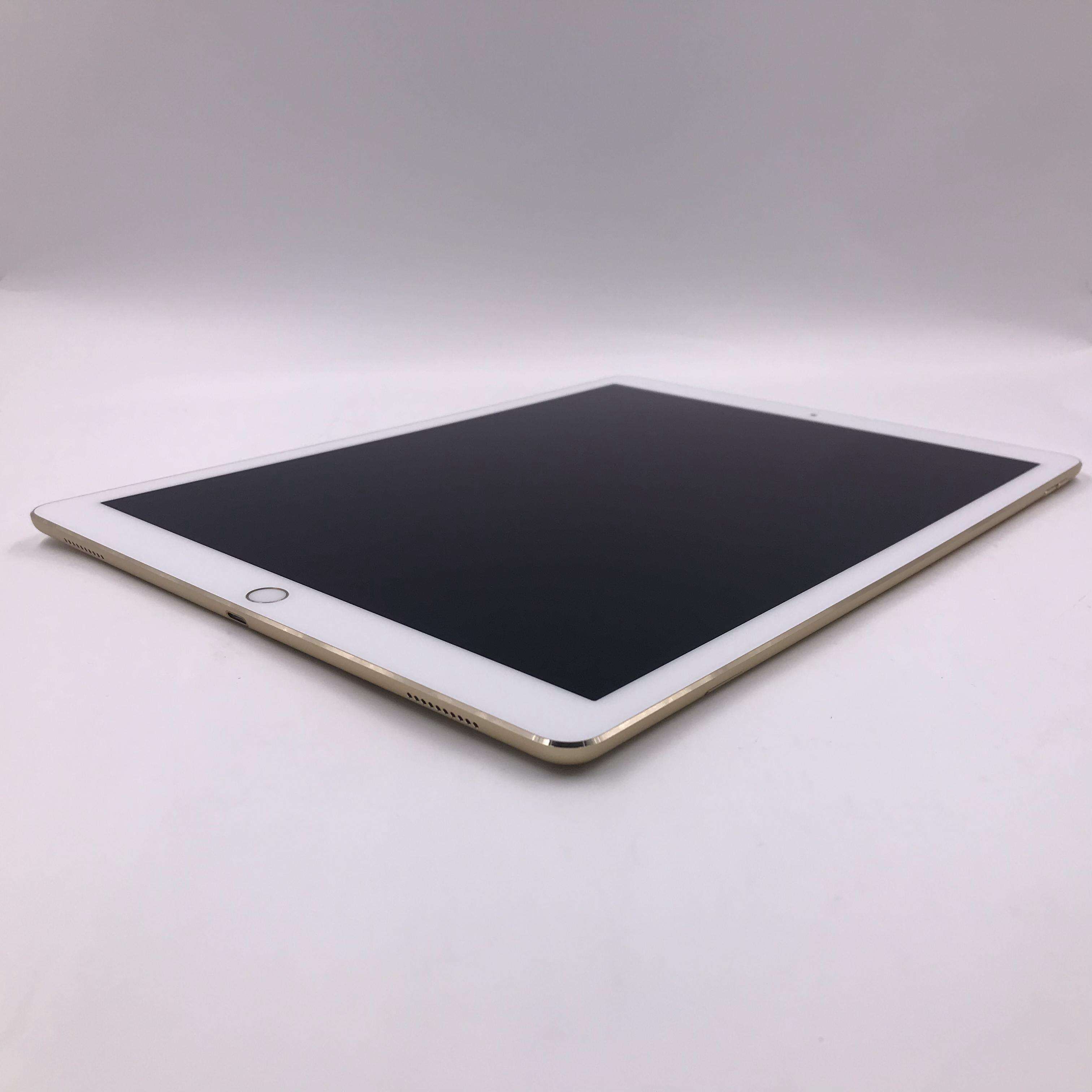 ipad pro 12.9英寸(2017) 512g cellular版