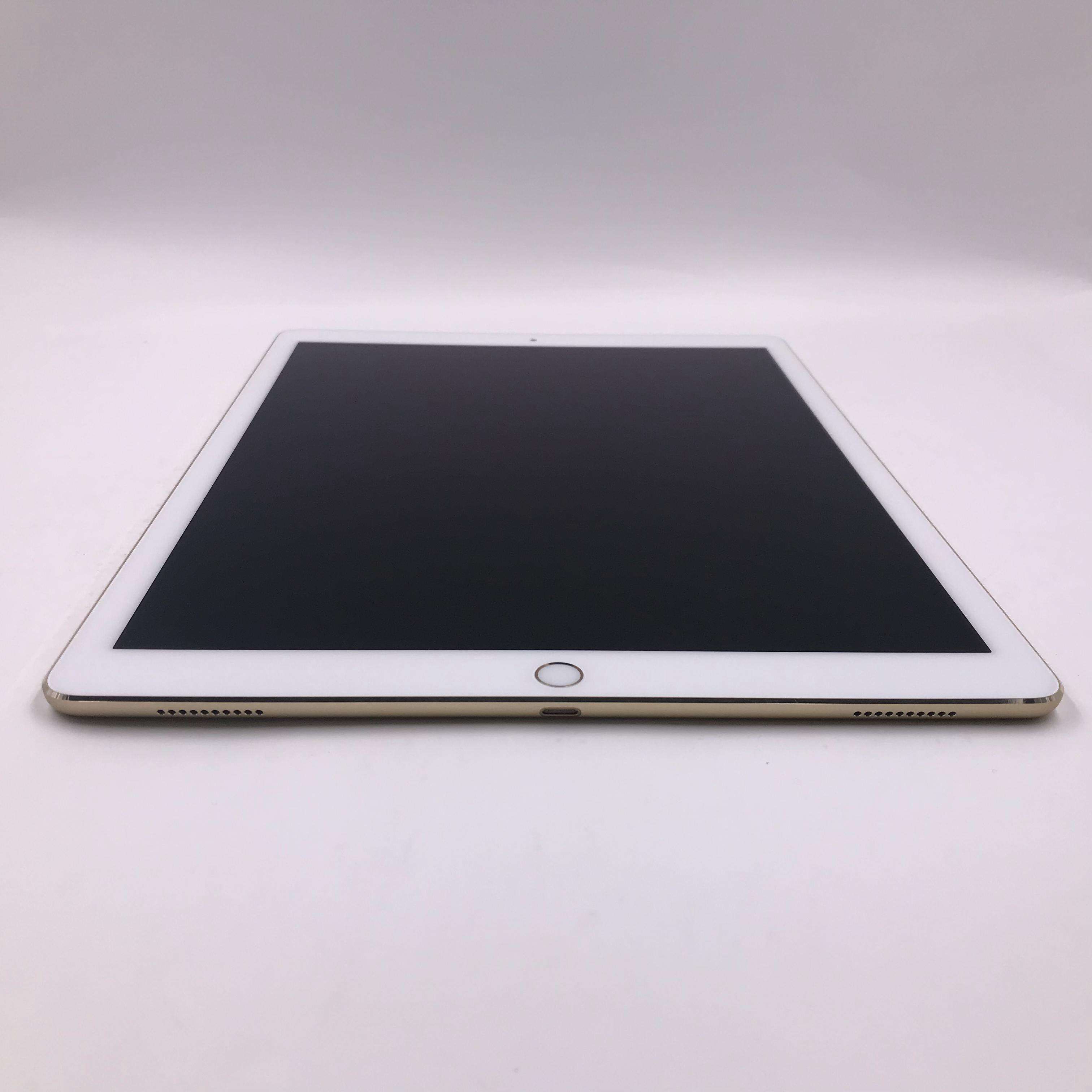 ipad pro 12.9英寸(2017) 512g cellular版